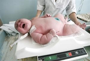 مولودة عملاقة تزن 7 كيلوغرامات