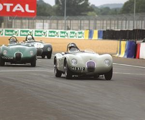 1953 Jaguar C-Type﻿