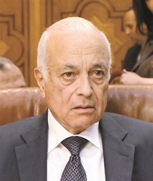 نبيل العربي