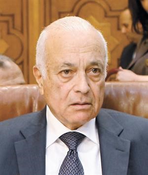 نبيل العربي
