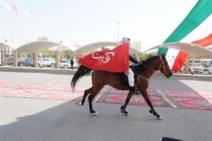 عرض لاحد الخيالة مع علم الكويت
