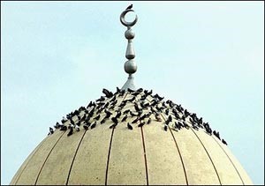 «الإدارية» ترفض دعوى مطالبة مراقب المساجد بالأعمال الممتازة