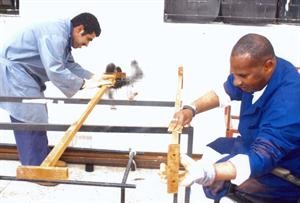 جانب من الانشطة المهنية للادارة
