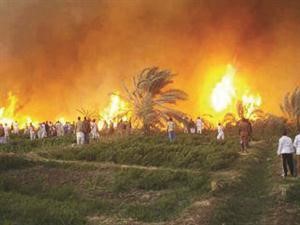 جانب من الحريق في سيوة﻿