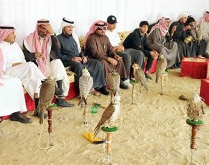 عرض للصقور في المسابقة﻿