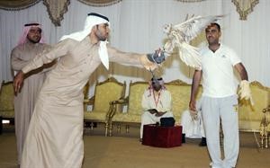 متسابق يحمل الصقر على يده﻿