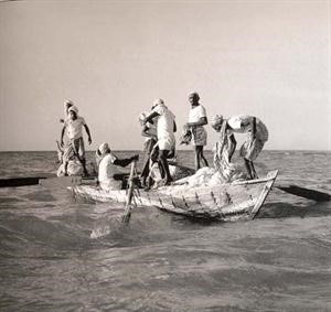 البحث عن الرزق في البحر