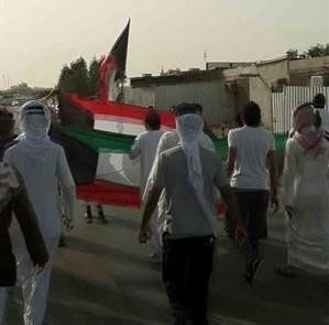 بدون رفعوا علم الكويت خلال تظاهرات محدودة في تيماء والصليبية