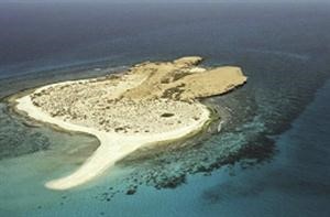 جزيرة فرسان لؤلؤة بيضاء في البحر الاحمر تتزين بمقومات سياحية باهرة
