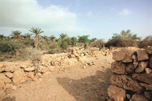 القصار واحة النخيل الفرسانية