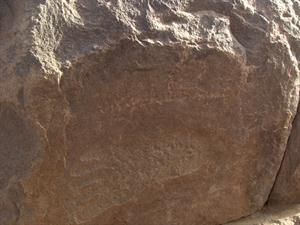 اثار المحرقة بادية بوضوح﻿