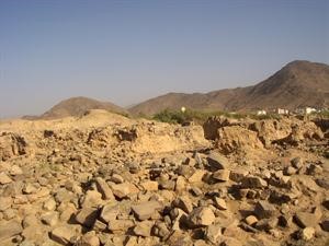 التنقيب مستمر لاكتشاف كامل الحقائق﻿