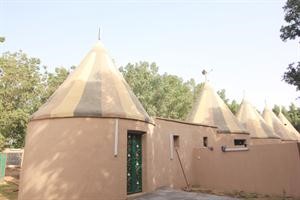 المالديف في جازان