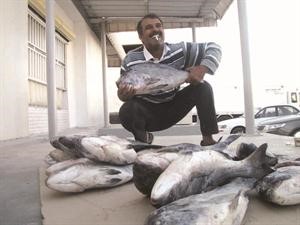 ماجد المويجد مع الشعم العماني