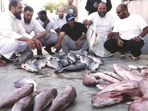 قرب الفيحا مع صيده المتنوع بالمحادق العمانية
