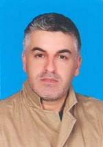 عماد شاهين