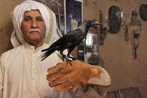 حاملا على يده طائر الغراب