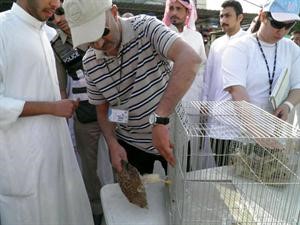 مصادرة احد الطيور
