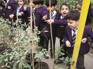 تنمية مهارات طلاب المدرسة البريطانية في مجال البستنة