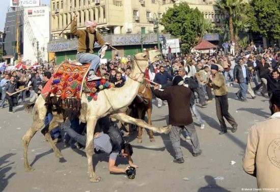 موقعة الجمل