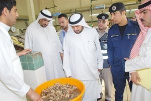 التاكد من سلامة الاغذية
