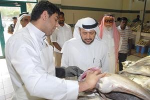 تفتيش على الاسماك
