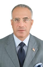 حسني كامل﻿