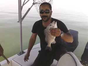 هذا الشعم ولا بلاش﻿