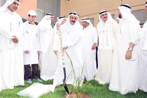 مشروع المليون نخلة فكرة رائدة﻿