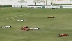 اللاعبون انبطحوا بعد هجوم النحل﻿