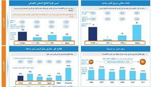إيغورين: انطلاقة «برقان» للتوسع الإقليمي بدأت بالاستحواذ على «يورو بنك» التركي