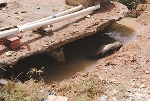 انتشال جمل من حفرة بعمق 3 أمتار