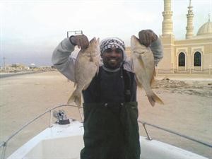 شعري الجنوب طيب