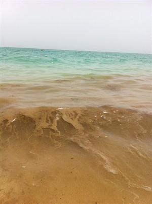 رصد بقعة زيت﻿
