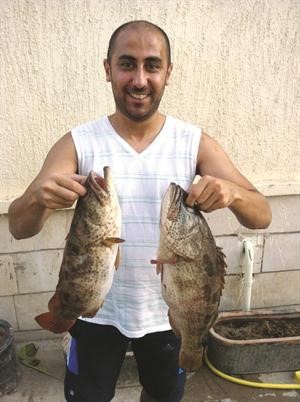 بوالليل يا سلام سلم ﻿