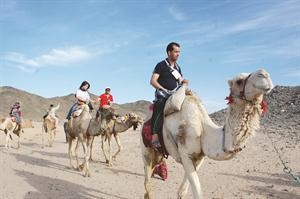 ما اجمل السفاري في جبال الغردقة