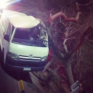 الباص بعد اصطدامه بالشجرة