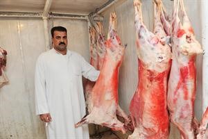 الى متى زيادة اسعار اللحوم 		سعود سالم﻿