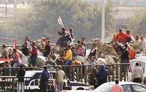 صورة ارشيفية من موقعة الجمل