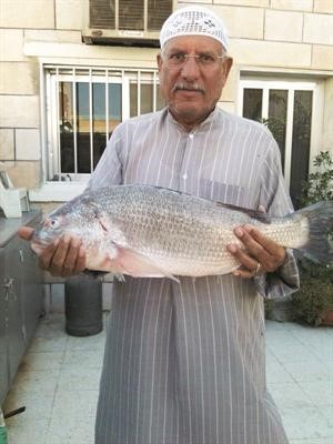 النوخذة الكبير مهنا سالمين مع السبيطي

