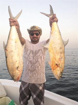ضلعة الجنوب

