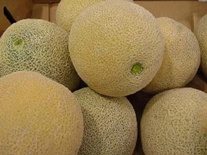 سارق.. الشمام
