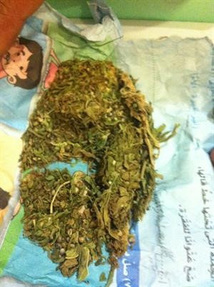 الماريغوانا ضبطت قبل تهريبها الى داخل الكويت عبر المطار﻿