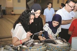 متابعة من الزميلات شوق وبشاير وايمان لانواع الاسماك المعروضة﻿