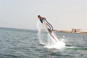 حركة الدلفين