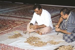 عاملان اثناء تنظيف البخور وازالة الشوائب منه﻿