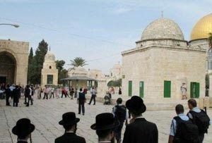 مستوطنون وجنود الاحتلال يقتحمون المسجد الأقصى
