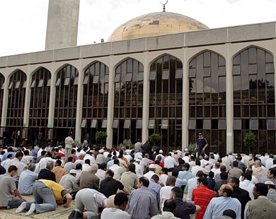 مجلس أوروبا: حان الوقت للاعتراف بأن المسلمين جزء لا يتجزأ من المجتمعات الأوروبية