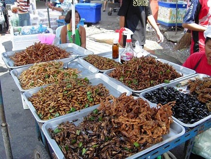 وجباتنا بعد 20 عاماً.. حشرات وطحالب ولحوم مصنعة!