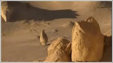  بالفيديو.. وادي الحيتان شواهد على حياة عمرها 40 مليون سنة